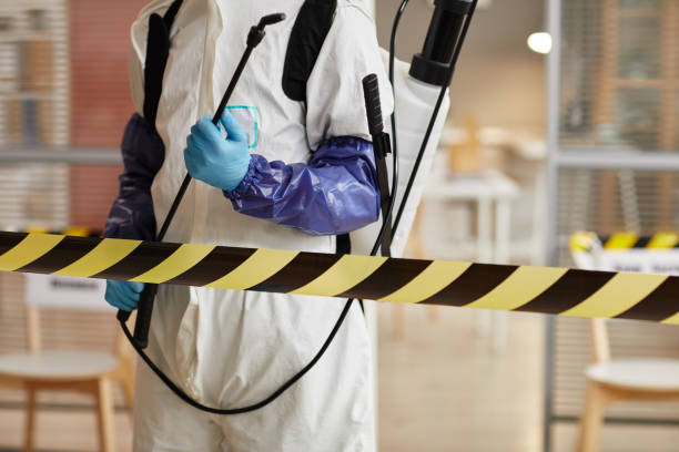 Professional Sewage Cleanup technician working in Los Altos, CA